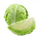 Picture of Fresh Cabbage (Price List)