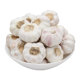 Picture of Fresh Garlic (price List)