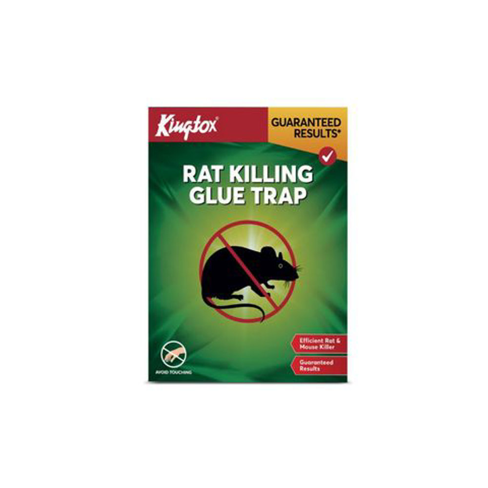 Picture of Kingtox Rat Killing Glue Trap 1 Piece