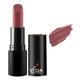 Picture of Vida Lipstick Twisted 951 4.5GM