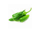 Picture of Fresh Green Chillies (punjab)