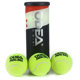 Picture of Padel Ball Came Win 3Pcs