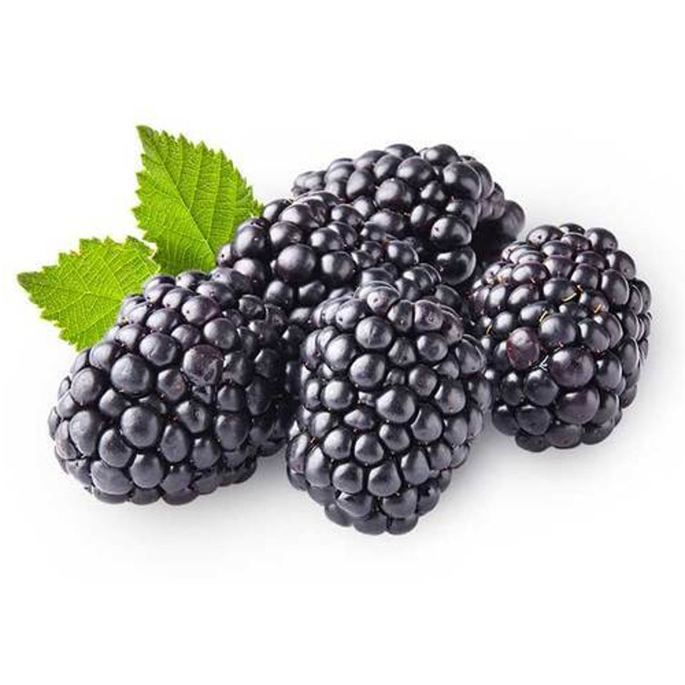 Picture of Fresh Black Berry