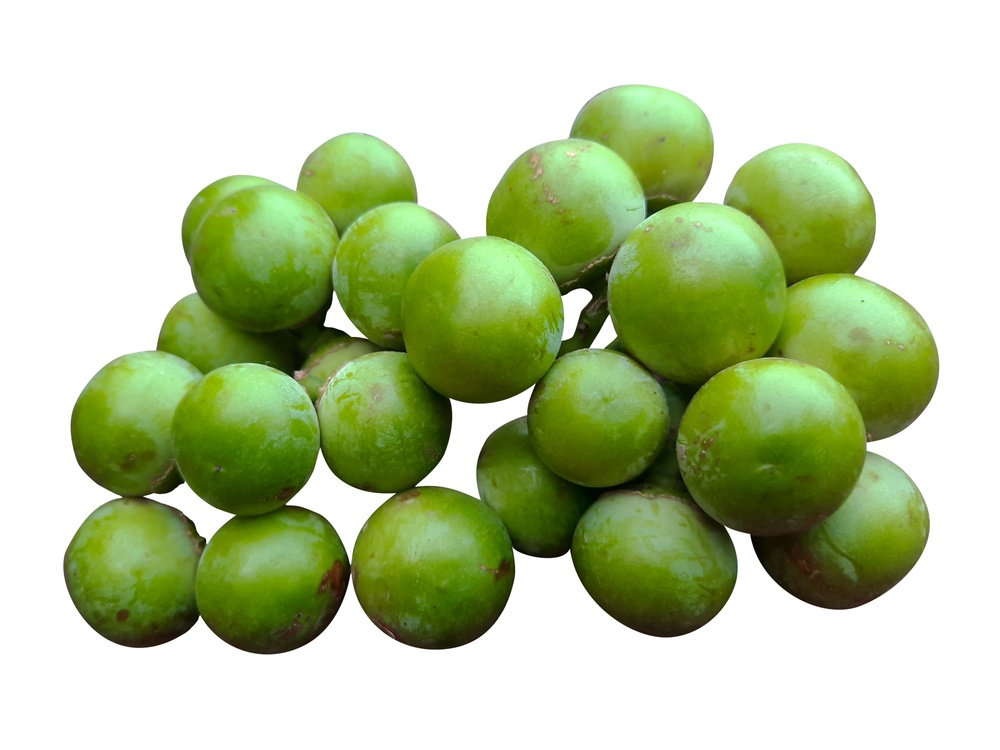 Picture of Fresh Glue Berry (Lasoora)