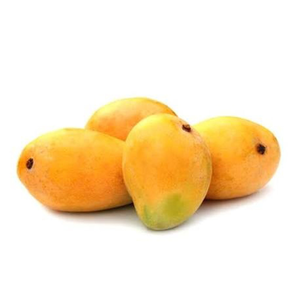 Picture of Fresh Anwar Lator 