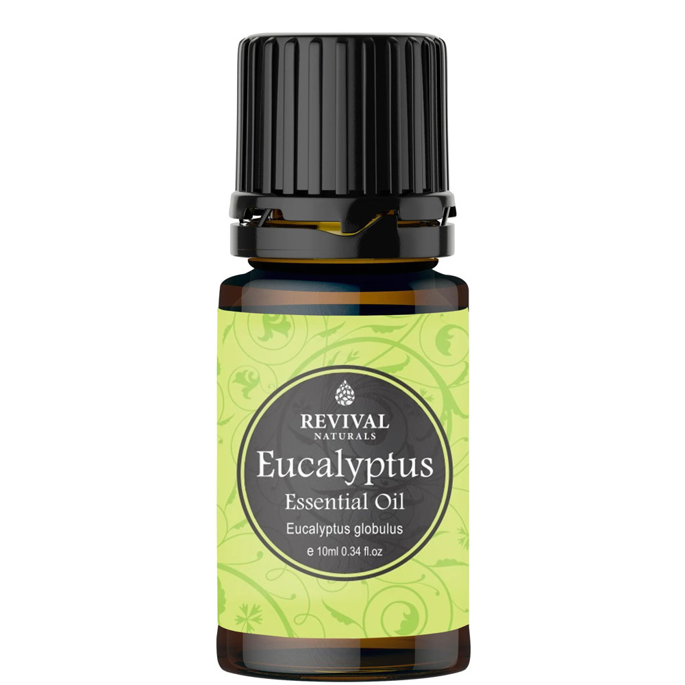 Picture of Revival Naturals Essential Oil Eucalyptus 10ml