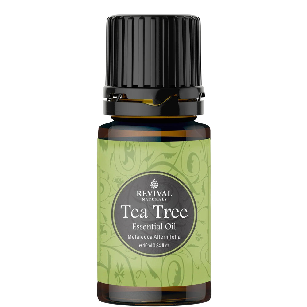 Picture of Revival Naturals Essential Oil Tea Tree 10ml