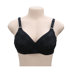 Picture of Bebelle XClence Bra Mix Colour