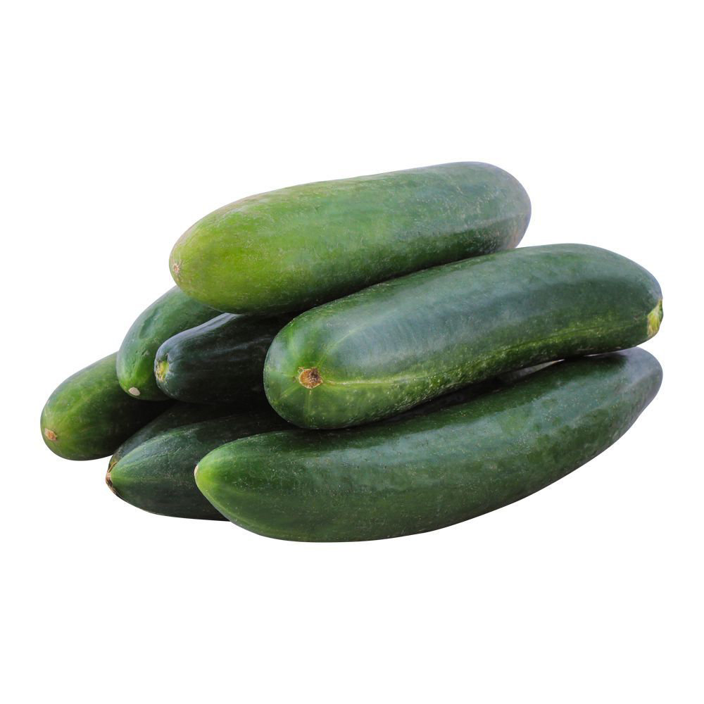 Picture of Fresh Cucumber (Price List)