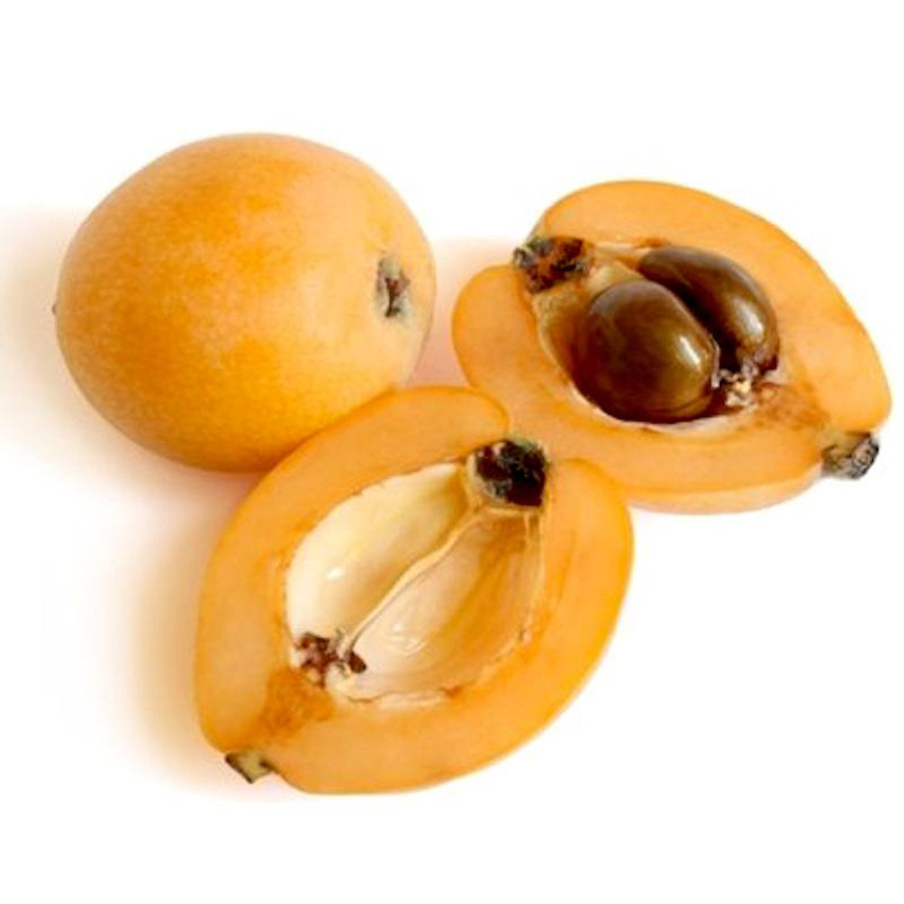 Picture of Fresh Loquat