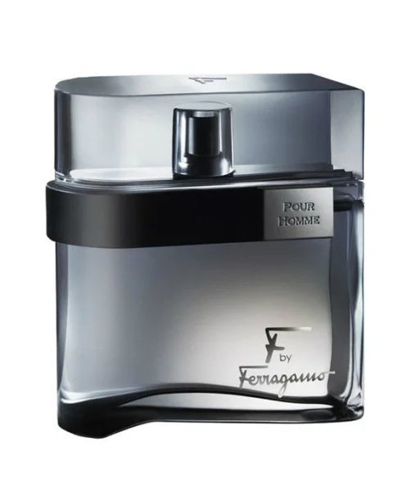 Picture of Salvatore Ferragomo F Black Men EDT 100ML