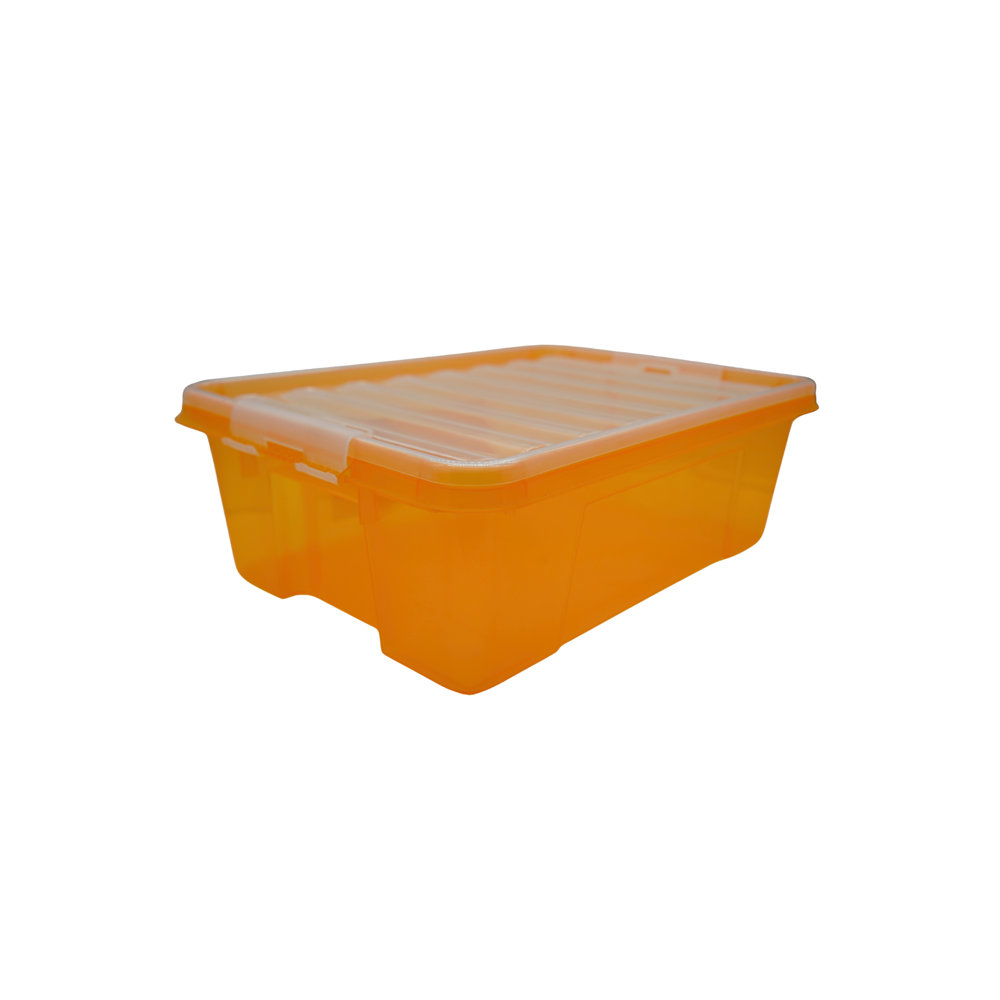 Picture of Clear Lock Storage Box Medium