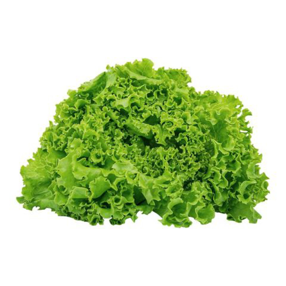 Picture of Fresh Kale 