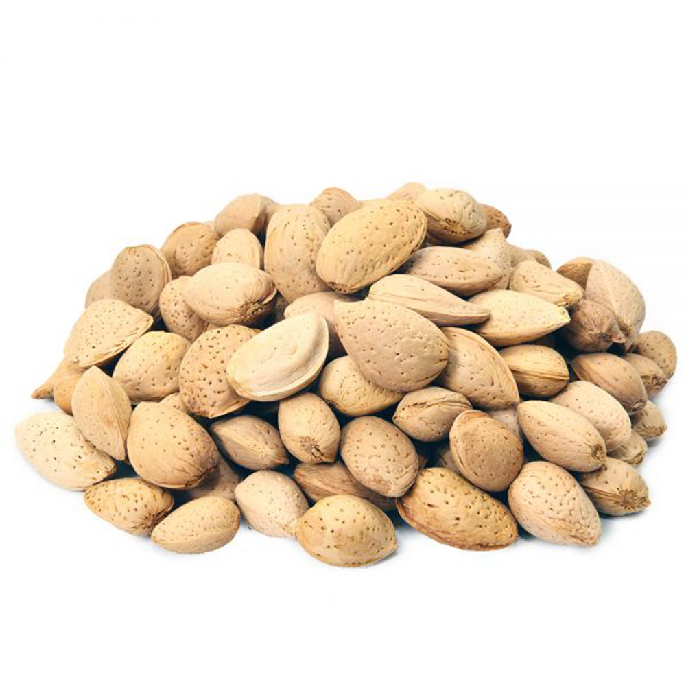 Picture of Almond 