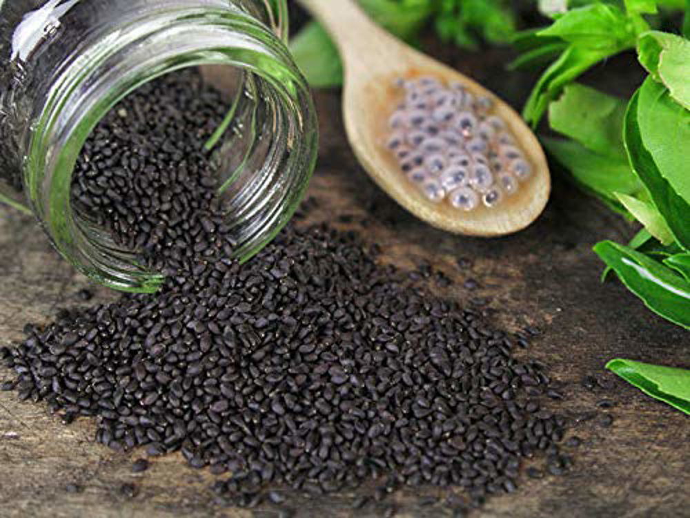 Picture of Basil Seeds 100gm