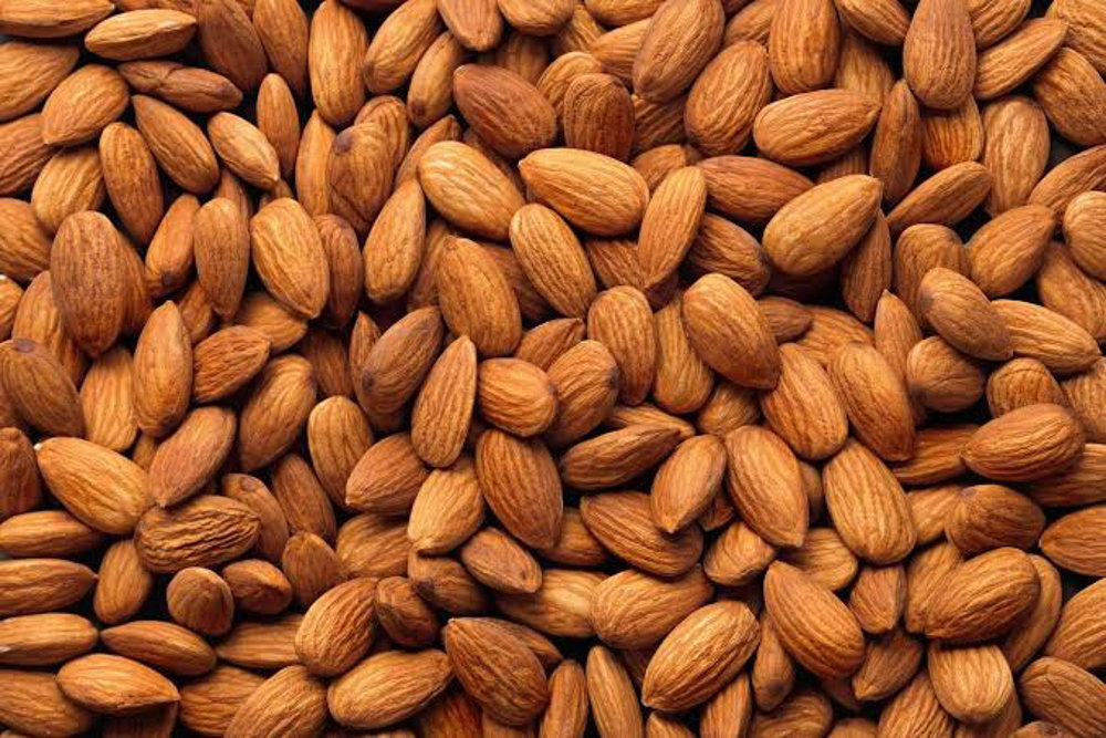 Picture of Almond 