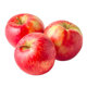 Picture of Fresh Apple Kala Kullu (Price List)