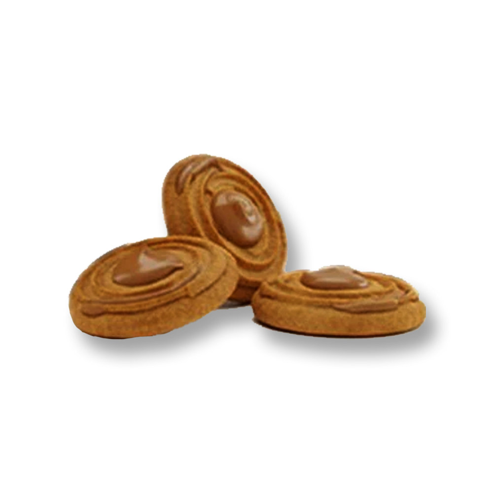 Picture of Chocolate Icing Biscuit