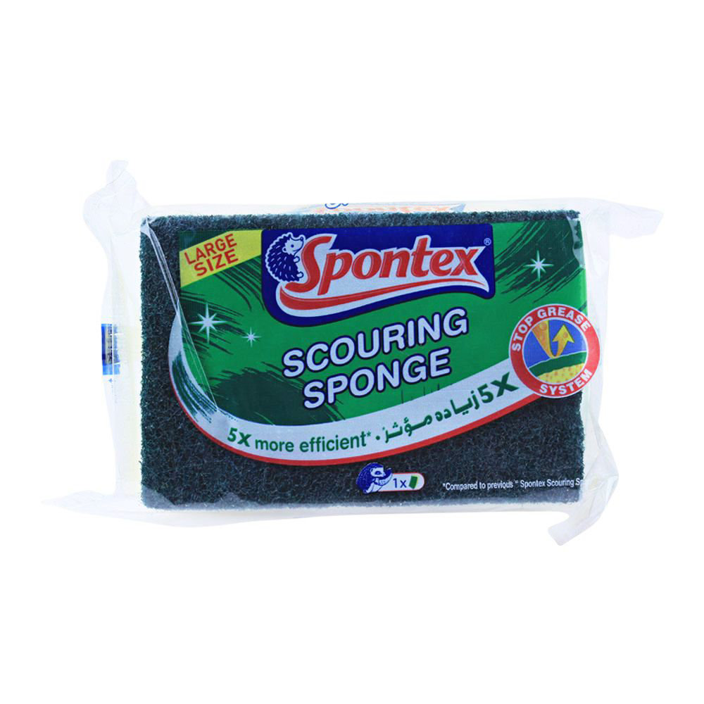 Picture of Fast Action Scourer With Sponge Chotu