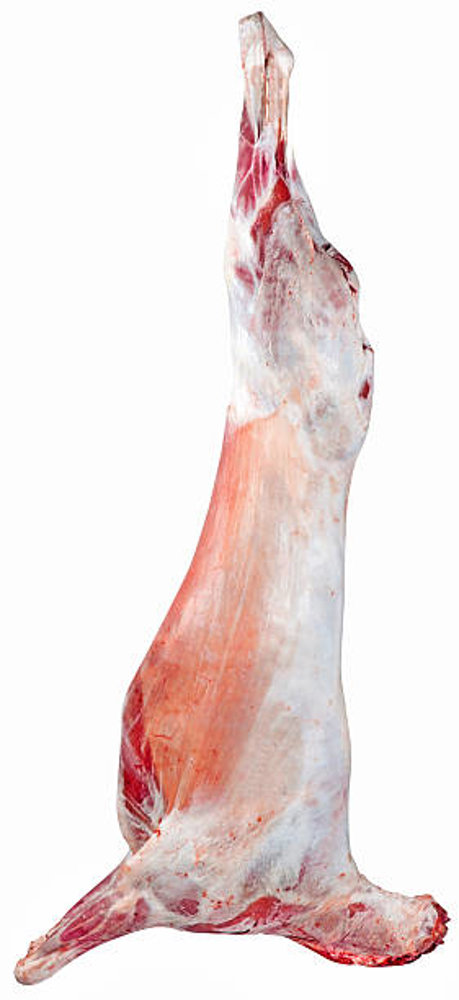 Picture of Mutton Whole Carcass