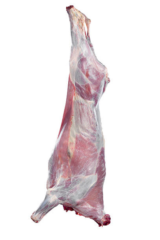 Picture of Veal Whole Carcass