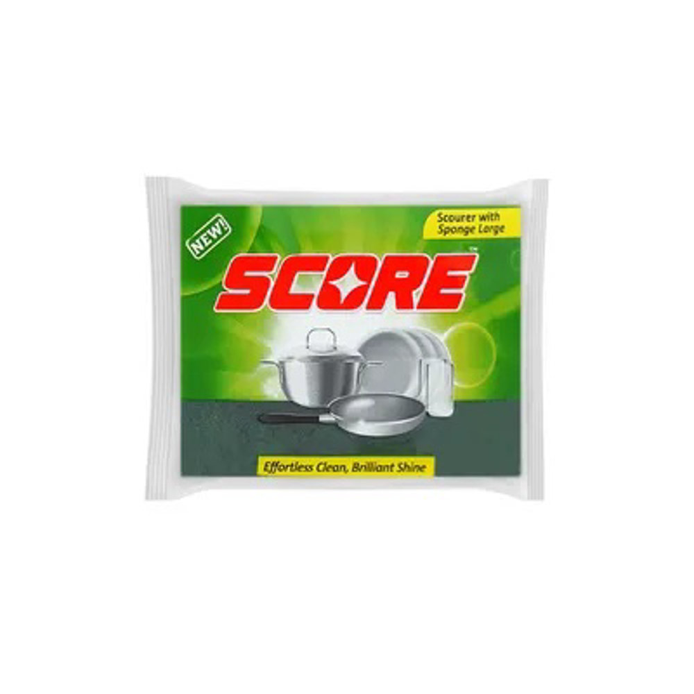 Picture of Fast Action Scourer With Sponge Regular