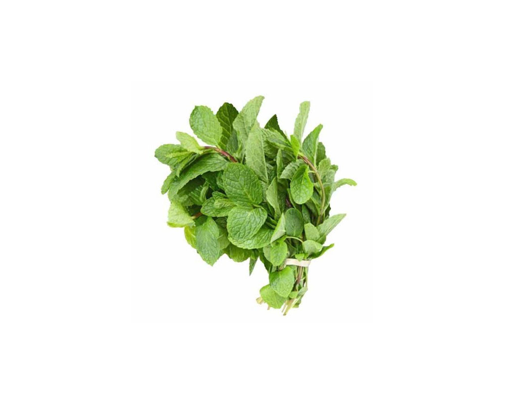 Picture of Fresh Podina Leaves