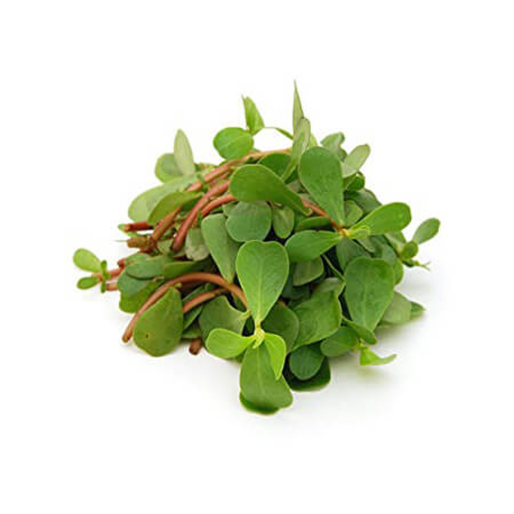 Picture of Fresh Saag Kulfa