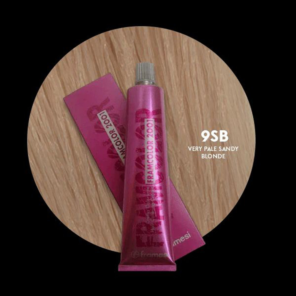 Picture of Framesi Hair Color 2001 9SB Very Pale Sandy Blonde 60ML