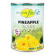 Picture of Arizona Fields Pineapple Slice 2810GM