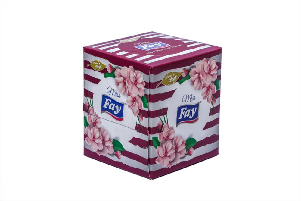 Picture of Fay Miss Tissue 100s
