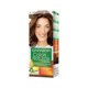 Picture of Garnier Hair Color Creme 6.34 Chocolate