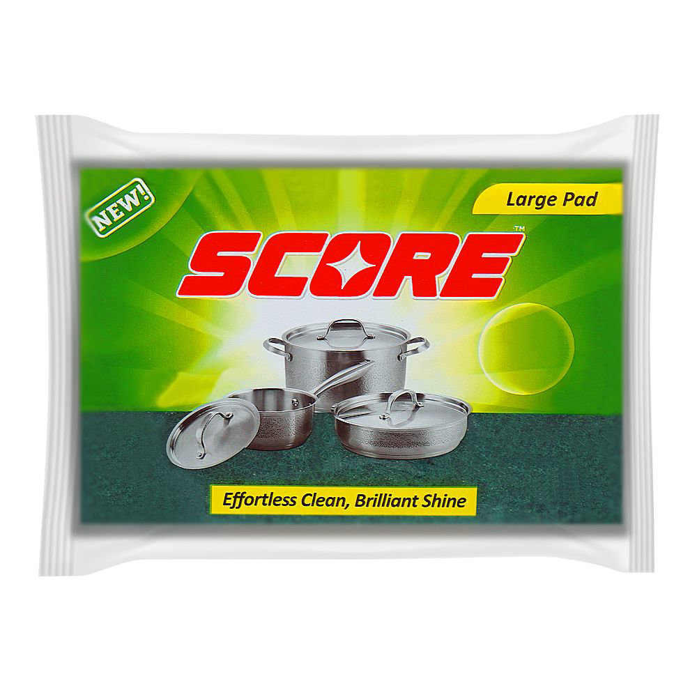 Picture of Klean Scouring Pad Large 