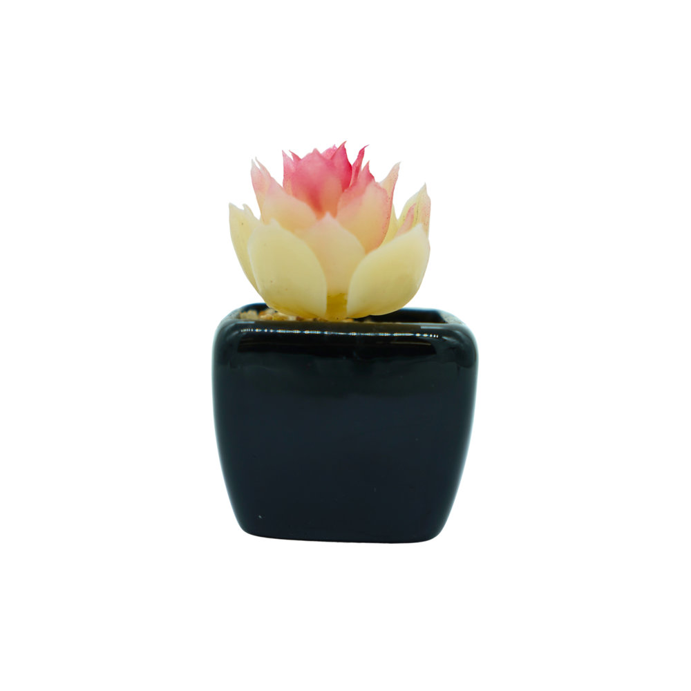 Picture of Mini Table Plant FO1007